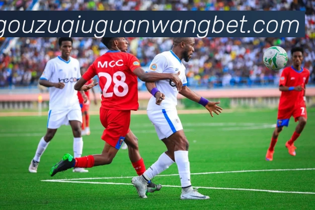 中欧体育品牌故事