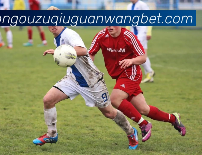 中欧体育服务体系